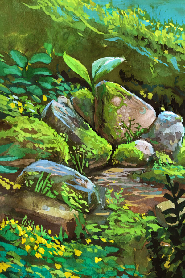 Dry Creek Bed - Image 2