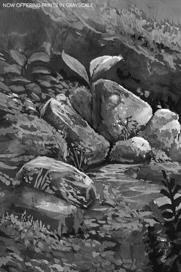 Dry Creek Bed - Image 3