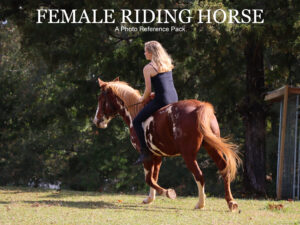 Female Riding Horse Reference Pack