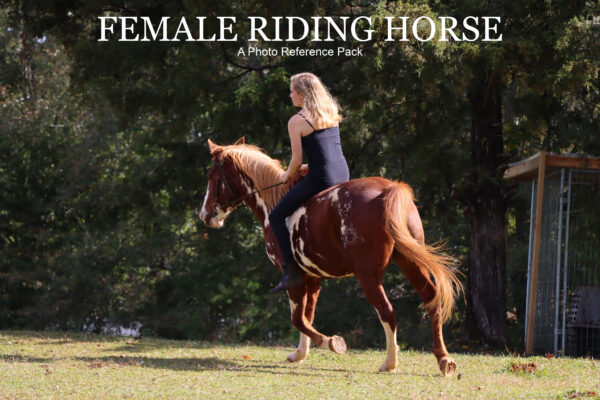 Female Riding Horse Reference Pack