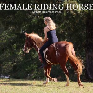 Female Riding Horse Reference Pack