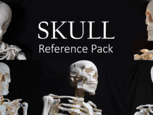 Skull Reference Pack
