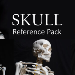 Skull Reference Pack