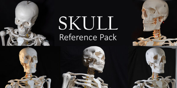 Skull Reference Pack