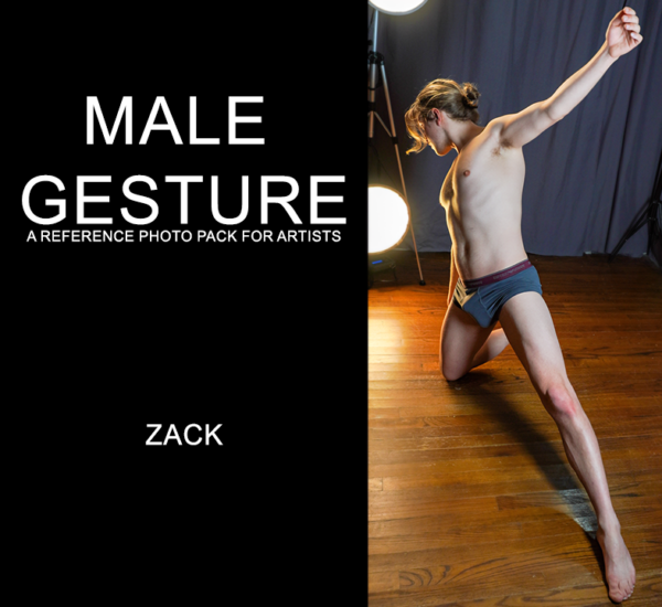 Male Gesture Reference Photo Pack -Zack