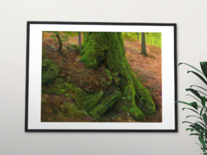 Mossy Roots