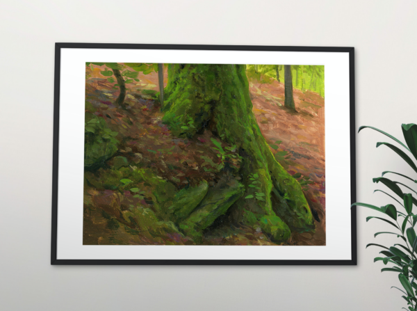 Mossy Roots