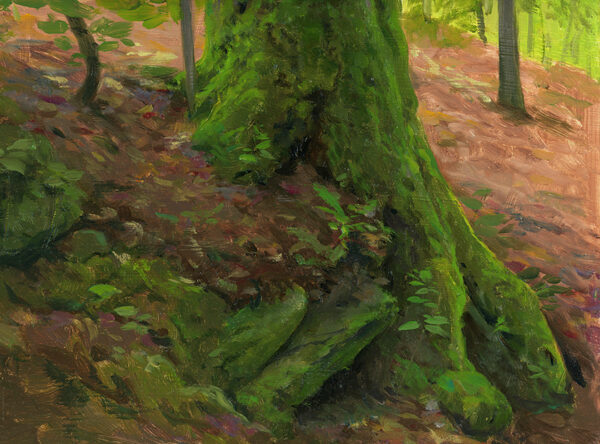 Mossy Roots - Image 3
