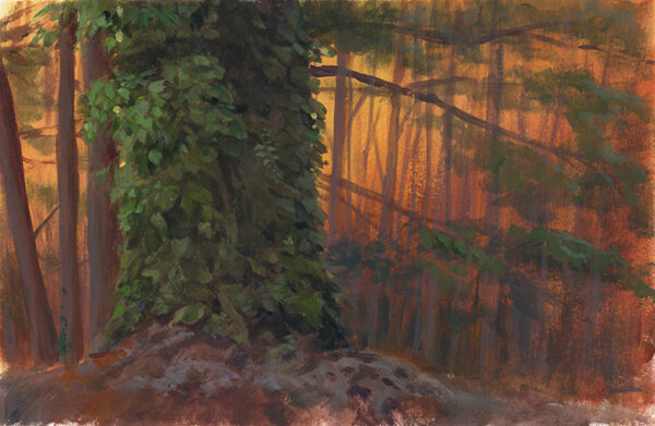 Winter Sunset - Image 2