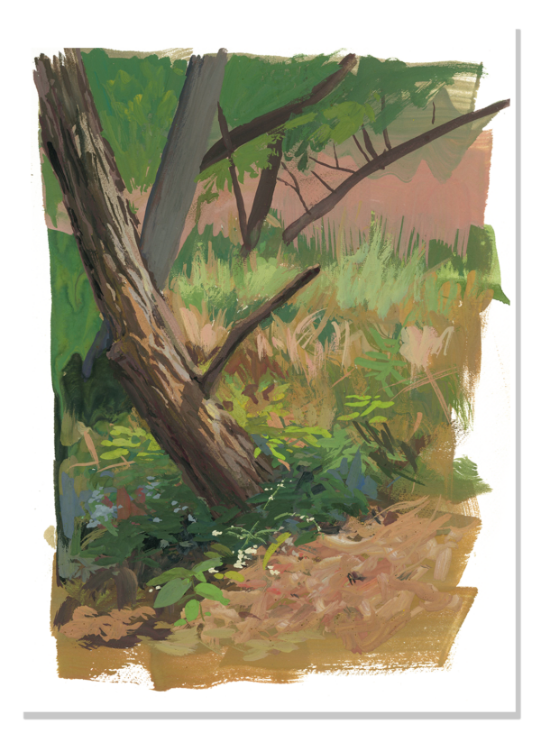 Fall trees - Image 3