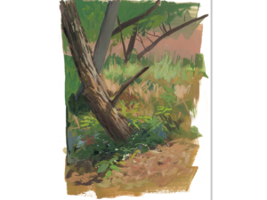 Fall trees