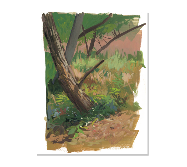 Fall trees