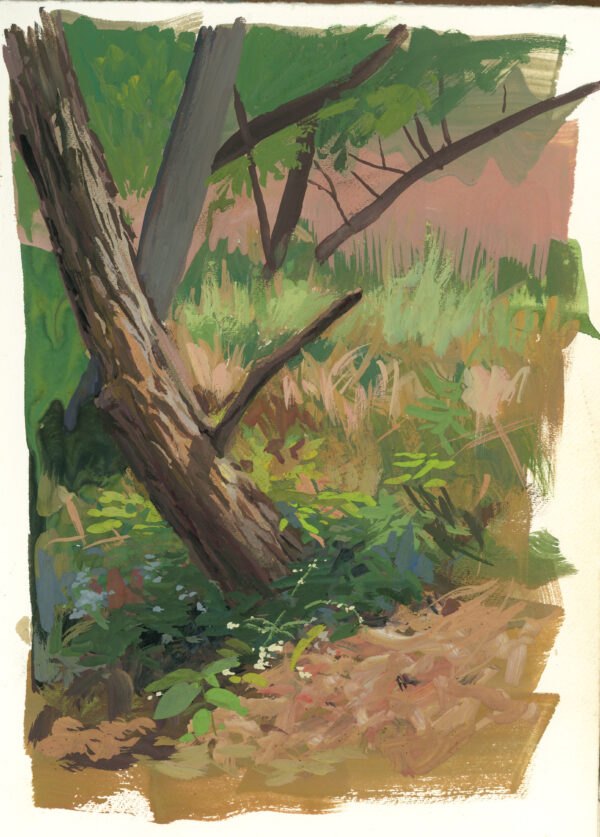 Fall trees - Image 2