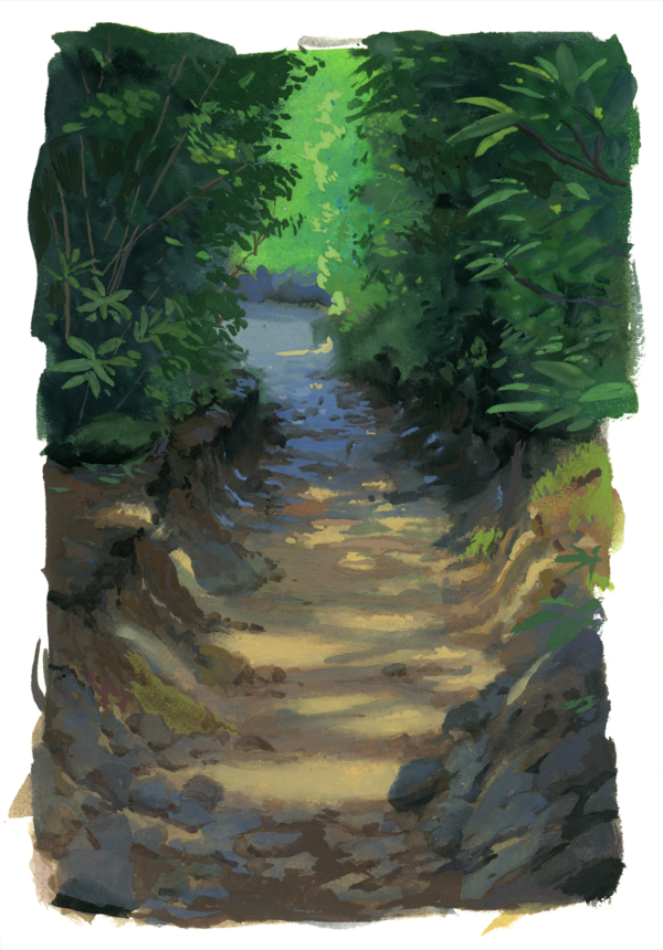 Dappled Light