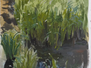Reeds - South Dakota plein air