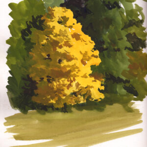 Fall Tree sketch 1