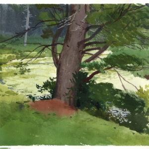 Bass Lake, North Carolina